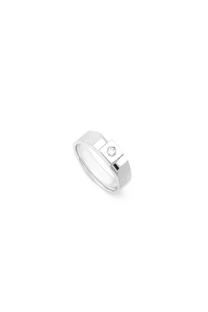 The Titan Band – Men’s Silver & Diamond